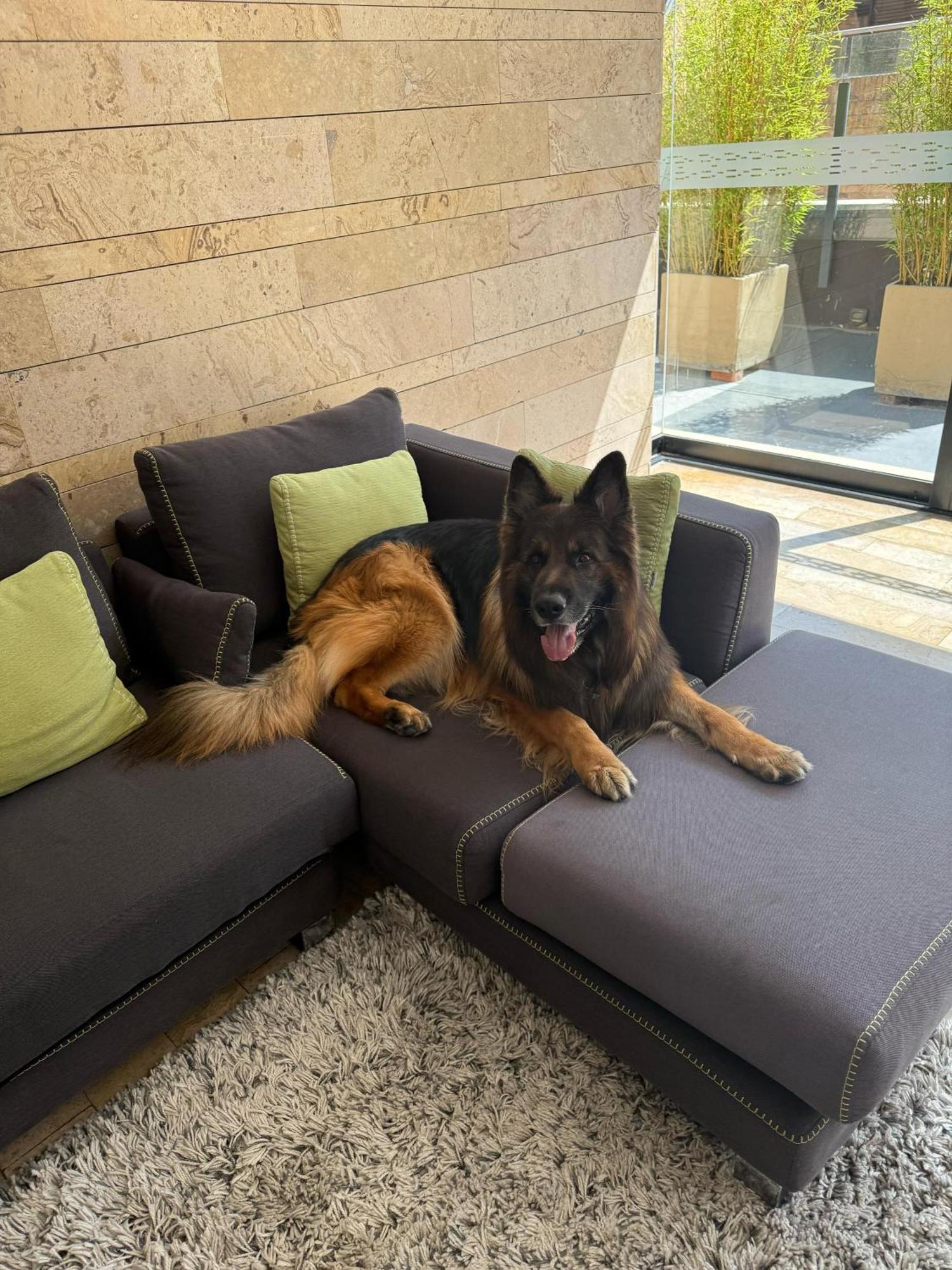 Central Apartamentos Bogotá Dış mekan fotoğraf